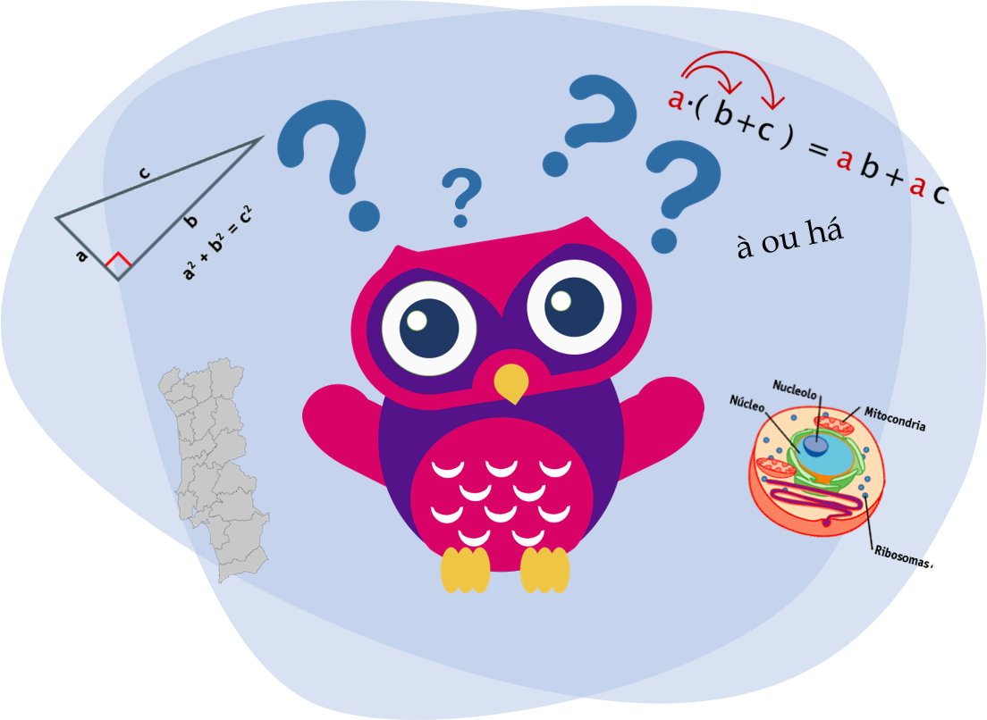 Explicações Owly Academia