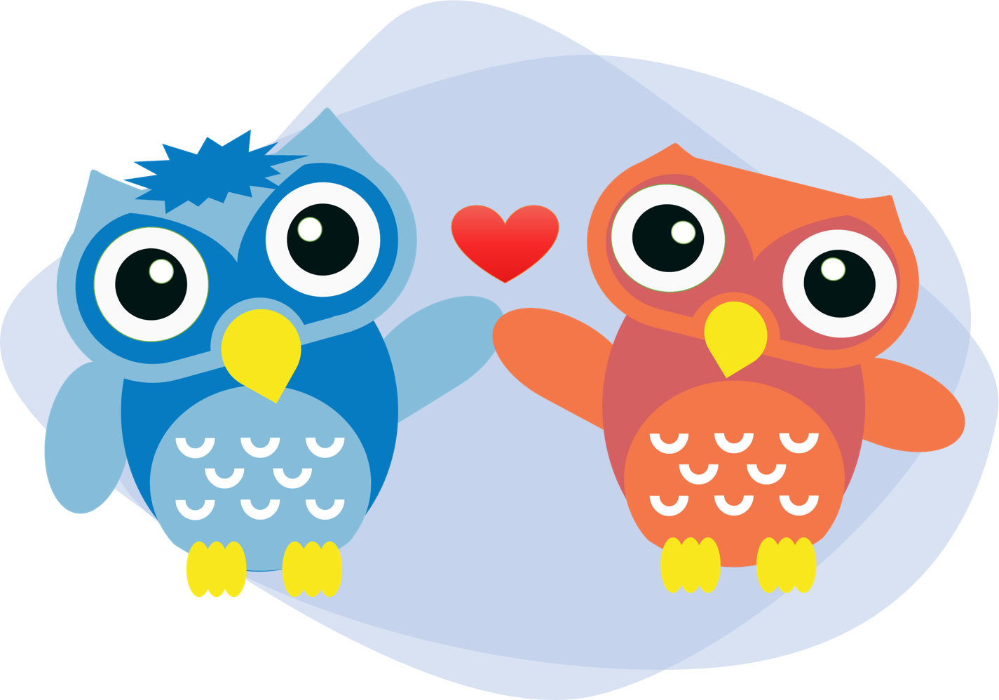 Equipa Owly Academia